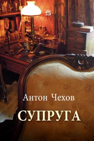 Cover of the book The Helpmate by Anton Chekhov