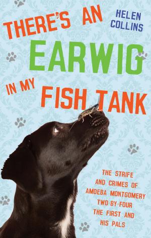 Cover of the book There's an Earwig in my Fish Tank by Jemima Brigges