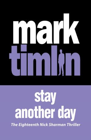 Cover of the book Stay Another Day by Anne Franklin