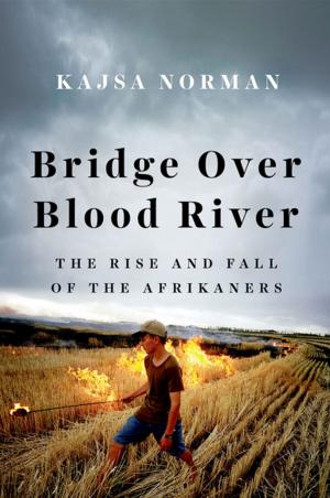 Cover of the book Bridge Over Blood River by Antonio Giustozzi