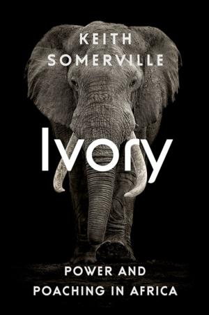 Cover of the book Ivory by Prashant Jha
