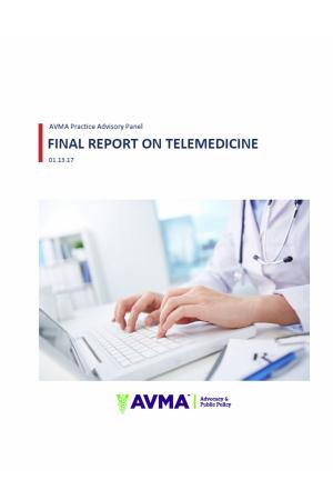 Cover of the book AVMA Practice Advisory Panel Final Report on Telemedicine by V.K. Tuzov