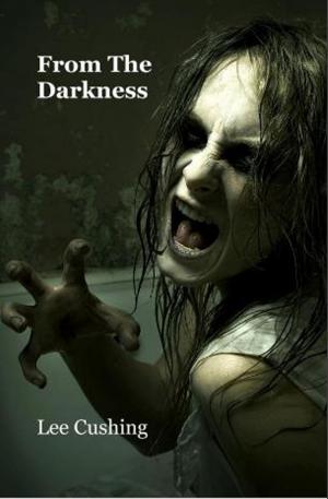 Book cover of From The Darkness
