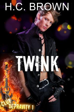 Cover of the book Twink by Johnny Dragona