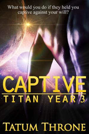 Cover of the book Captive by Jeffery Martin Botzenhart