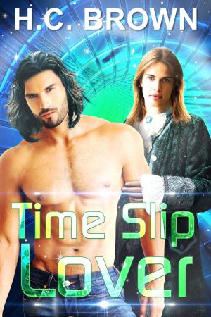 Cover of the book Time Slip Lover by Louise Roberts