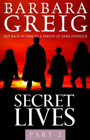 Cover of the book Secret Lives by Stephen Cherry
