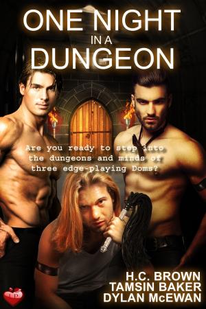 Cover of the book One Night in a Dungeon by Annie Oakfield