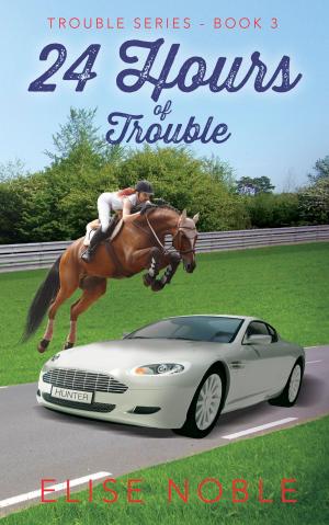 Cover of the book 24 Hours of Trouble by Serena Zane