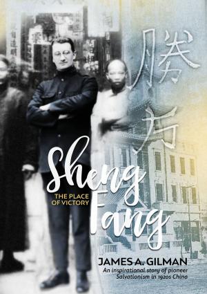 Cover of the book Sheng Fang - The Place of Victory by John Larsson