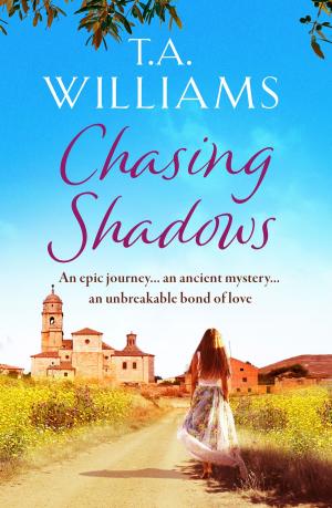 Cover of the book Chasing Shadows by Teresa Crane