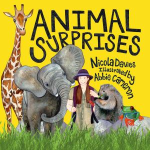 Cover of Animal Surprises
