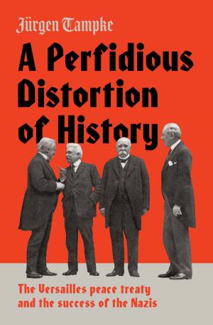 Cover of the book A Perfidious Distortion of History by Jonathan King
