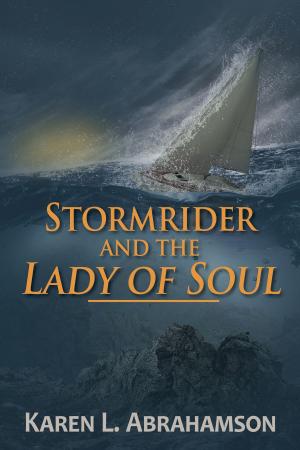 Book cover of Stormrider and the Lady of Soul