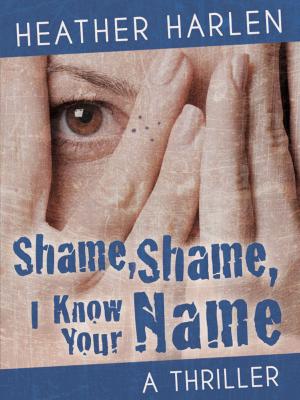 Cover of the book SHAME, SHAME, I KNOW YOUR NAME by J.A. Behnke