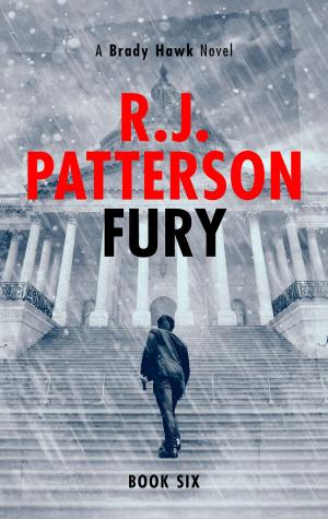 Cover of the book Fury by R.J. Patterson
