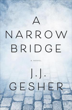 Cover of the book A Narrow Bridge by Jill Orr