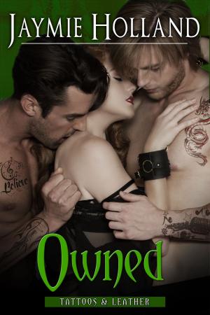 Cover of the book Owned by Raavee & Shey