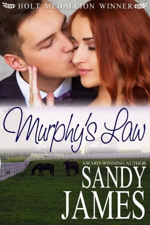 bigCover of the book Murphy's Law by 