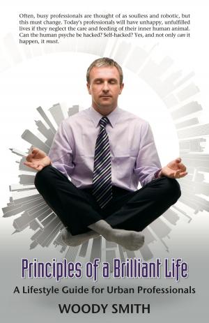 Cover of the book Principles of a Brilliant Life by Vincent Gray