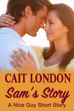 Cover of the book Sam's Story by Beth Ciotta