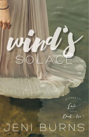 Cover of the book Wind's Solace by Alan VanMeter