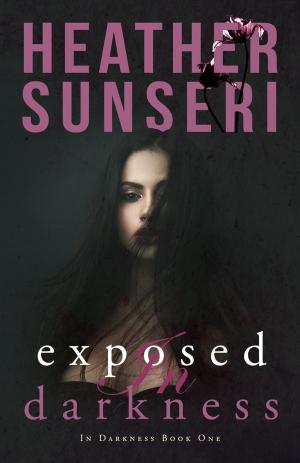 Cover of the book Exposed in Darkness by Sky Alexander