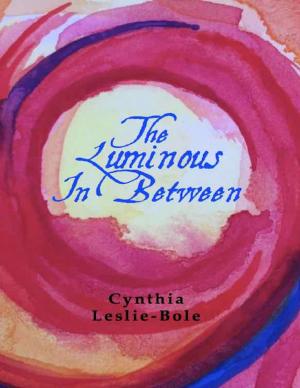 Cover of the book The Luminous In Between by Vincent A. Mastro