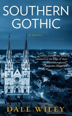 Cover of the book Southern Gothic by J. Maynard Carr