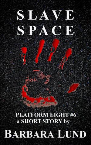 Cover of the book Slave Space by J.D. Hanning