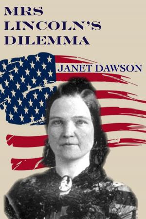 Book cover of Mrs. Lincoln's Dilemma
