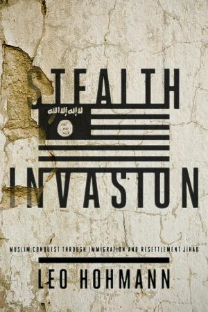 Cover of the book Stealth Invasion by Mark  Joseph