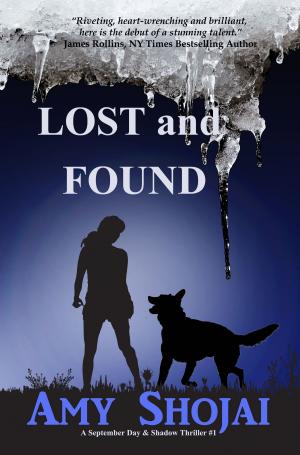 Cover of the book Lost And Found by Bill McGrath