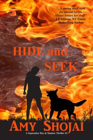 Book cover of Hide And Seek