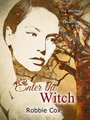 Cover of the book Enter the Witch by Sarah Johansson