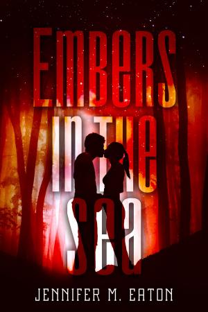 Cover of the book Embers In the Sea by Ty Drago