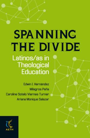 Cover of the book Spanning the Divide by H M Anderson