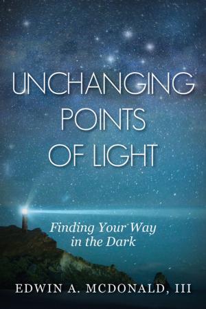 Cover of Unchanging Points Of Light