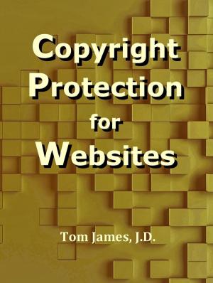 bigCover of the book Copyright Protection for Websites by 
