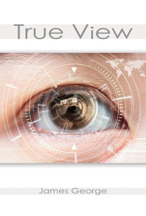 Cover of the book True View by Steve Alex Demas