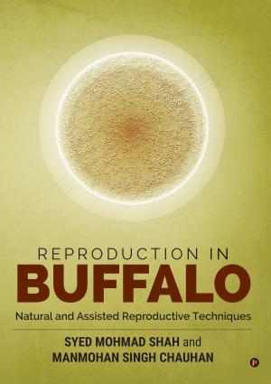 Cover of the book Reproduction in Buffalo by Rachel Chacko