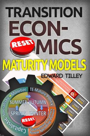 Cover of Maturity Models - Transition Economics