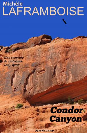 Book cover of Condor Canyon