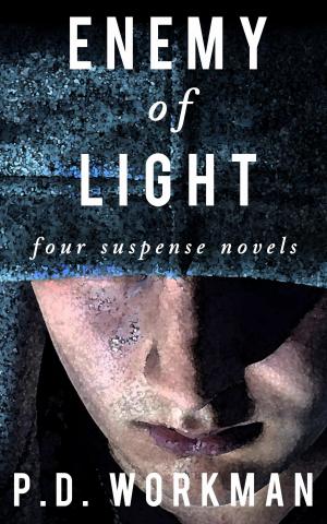 Cover of the book Enemy of Light by P.D. Workman