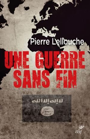 Cover of the book Une guerre sans fin by Regis Burnet