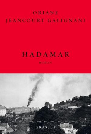 Cover of the book Hadamar by Lou Delvig