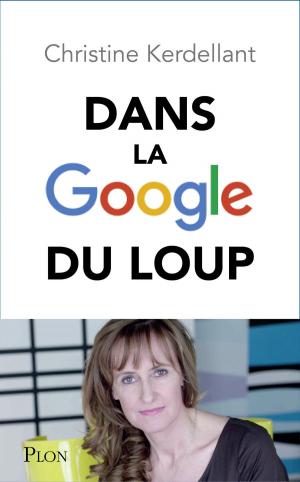 Cover of the book Dans la Google du loup by Jean-Luc BANNALEC