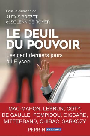 Cover of the book Le Deuil du pouvoir by Ann CLEEVES