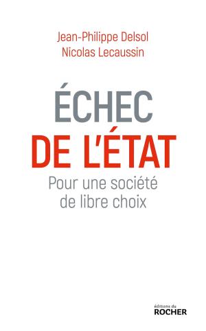 Cover of the book Echec de l'état by Michel Lebel