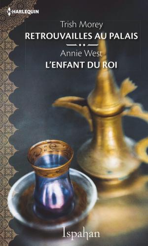 Book cover of Retrouvailles au palais - L'enfant du roi